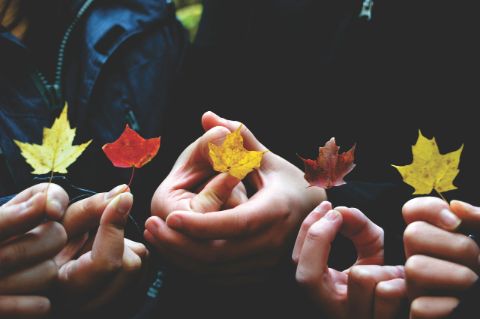 hands-holding-leafs-together2